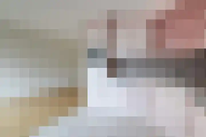 Ankrot 67 Enschede thumbnail 13