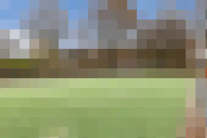 Ankrot 67 Enschede thumbnail 42