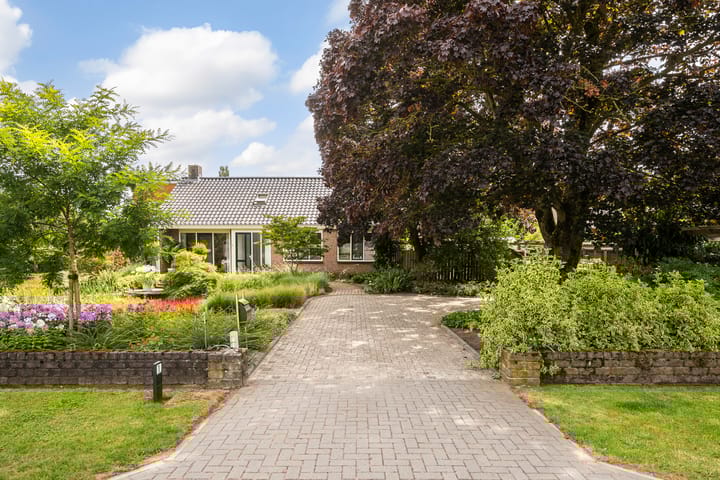 Ankummer Es 1 in Dalfsen Foto