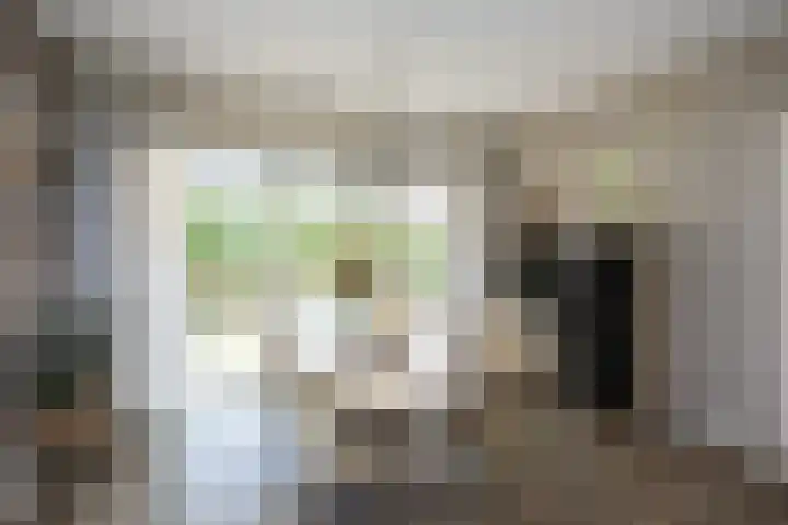 Ankummer Es 1 Dalfsen thumbnail 11