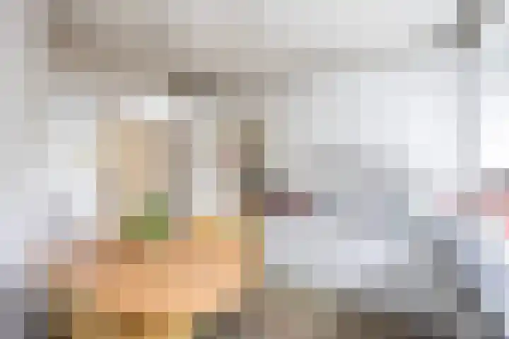 Ankummer Es 1 Dalfsen thumbnail 17