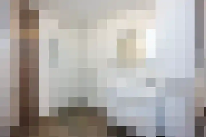 Ankummer Es 1 Dalfsen thumbnail 22