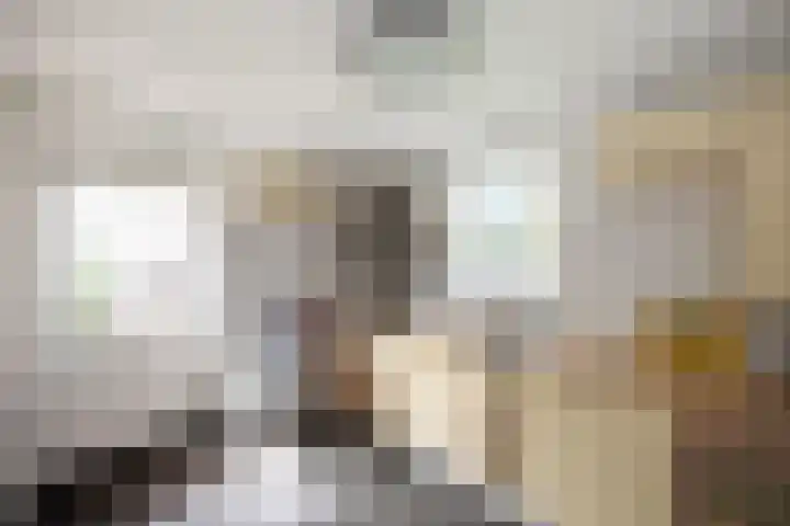 Ankummer Es 1 Dalfsen thumbnail 25