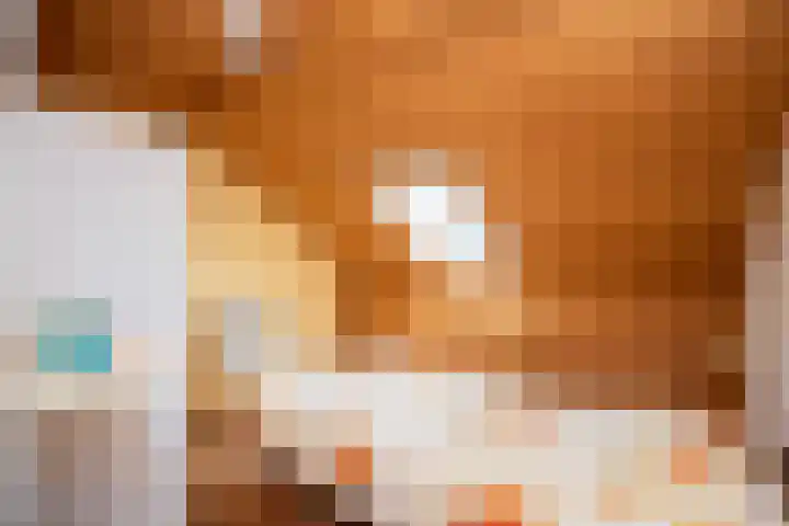 Ankummer Es 1 Dalfsen thumbnail 28