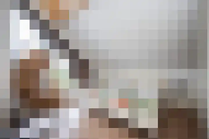 Ankummer Es 1 Dalfsen thumbnail 38
