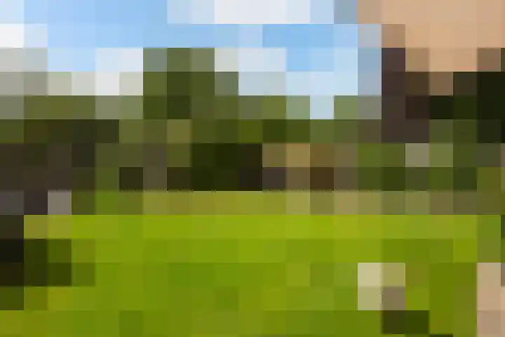Ankummer Es 1 Dalfsen thumbnail 47
