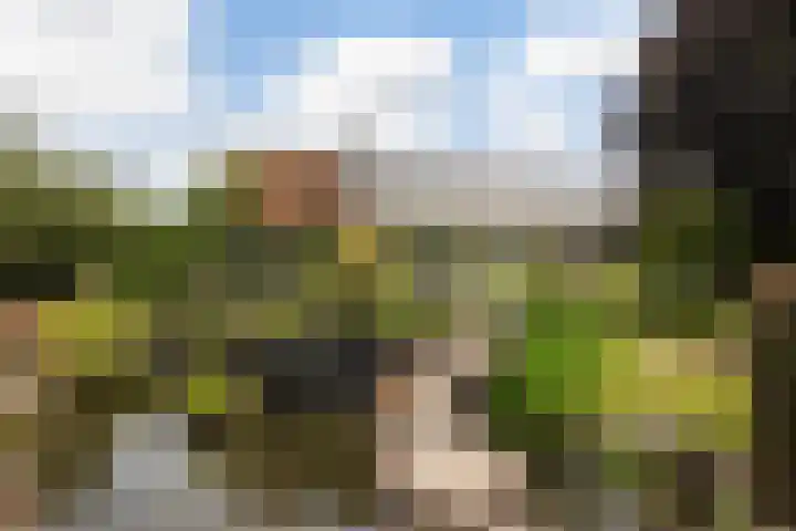 Ankummer Es 1 Dalfsen thumbnail 49