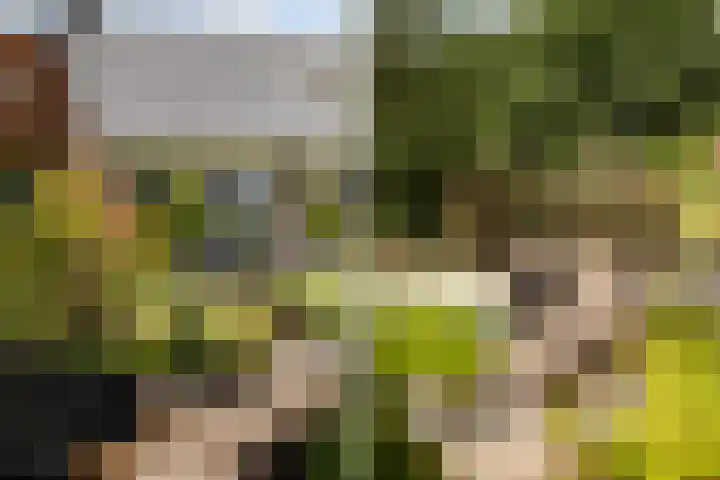 Ankummer Es 1 Dalfsen thumbnail 50