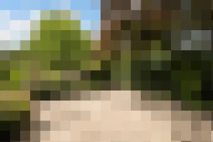 Ankummer Es 1 Dalfsen thumbnail 51