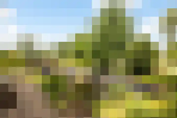 Ankummer Es 1 Dalfsen thumbnail 52
