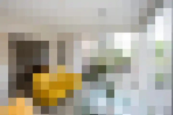 Ankummer Es 1 Dalfsen thumbnail 9