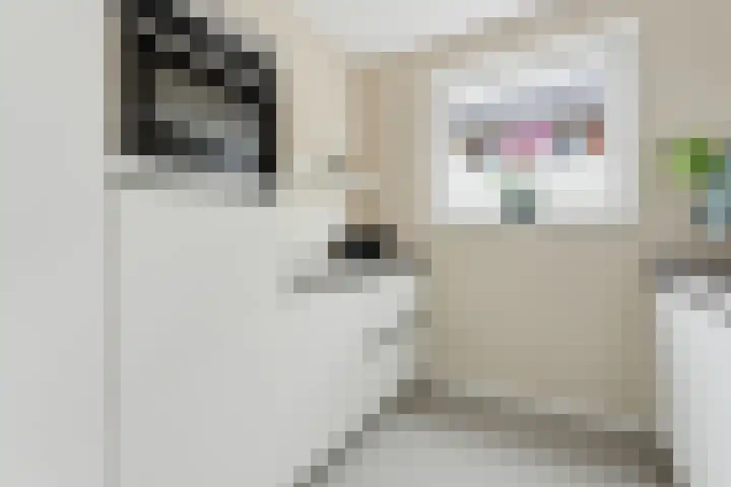 Anky van Grunsvenpad 3 Schiedam thumbnail 18