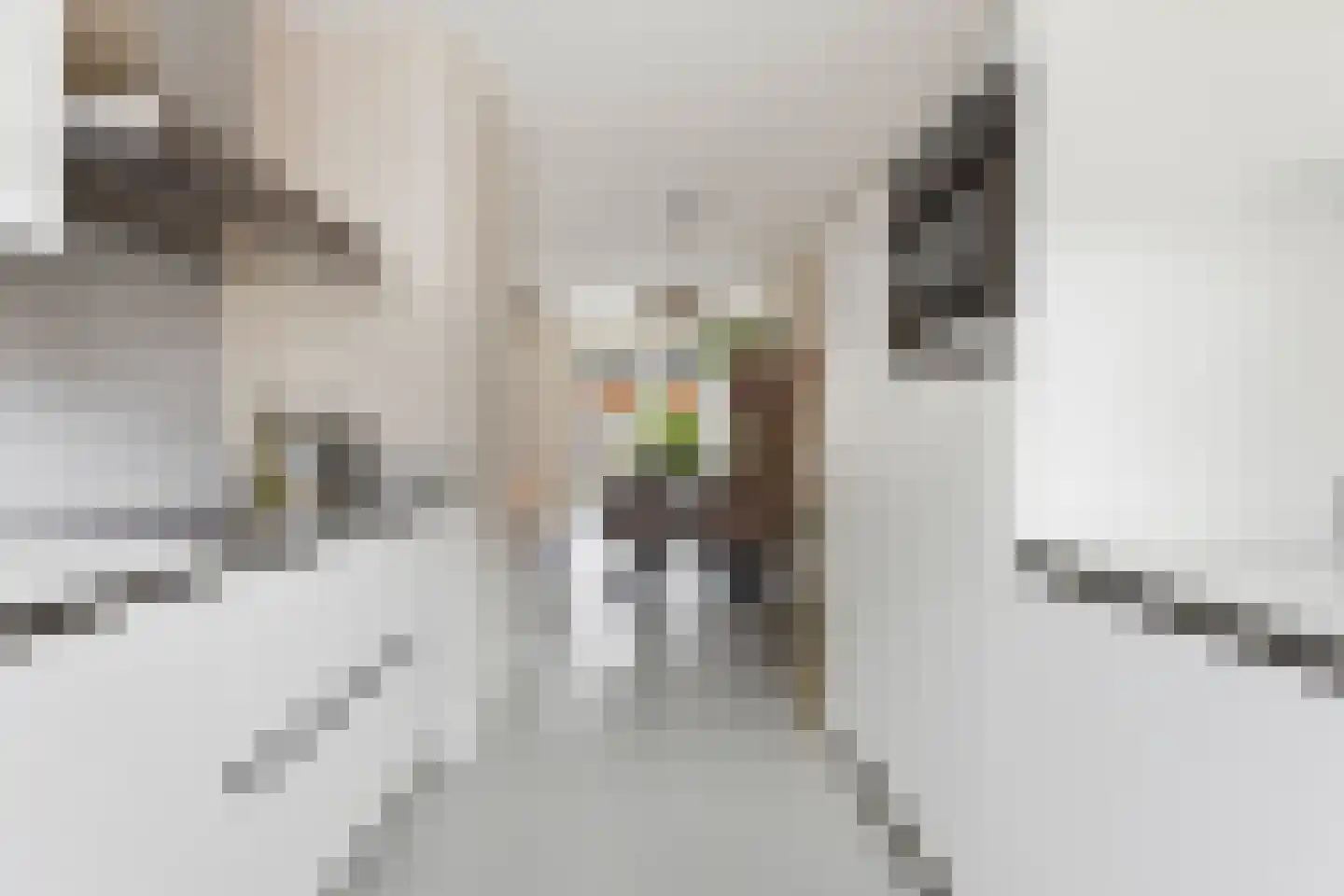 Anky van Grunsvenpad 3 Schiedam thumbnail 20