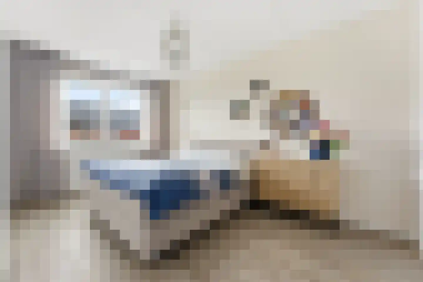 Anky van Grunsvenpad 3 Schiedam thumbnail 31