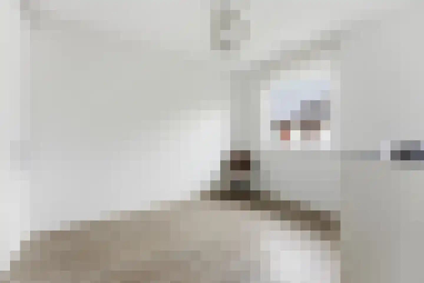 Anky van Grunsvenpad 3 Schiedam thumbnail 36