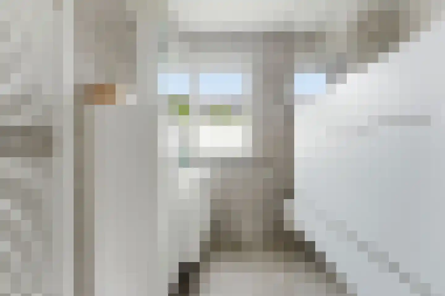 Anky van Grunsvenpad 3 Schiedam thumbnail 39