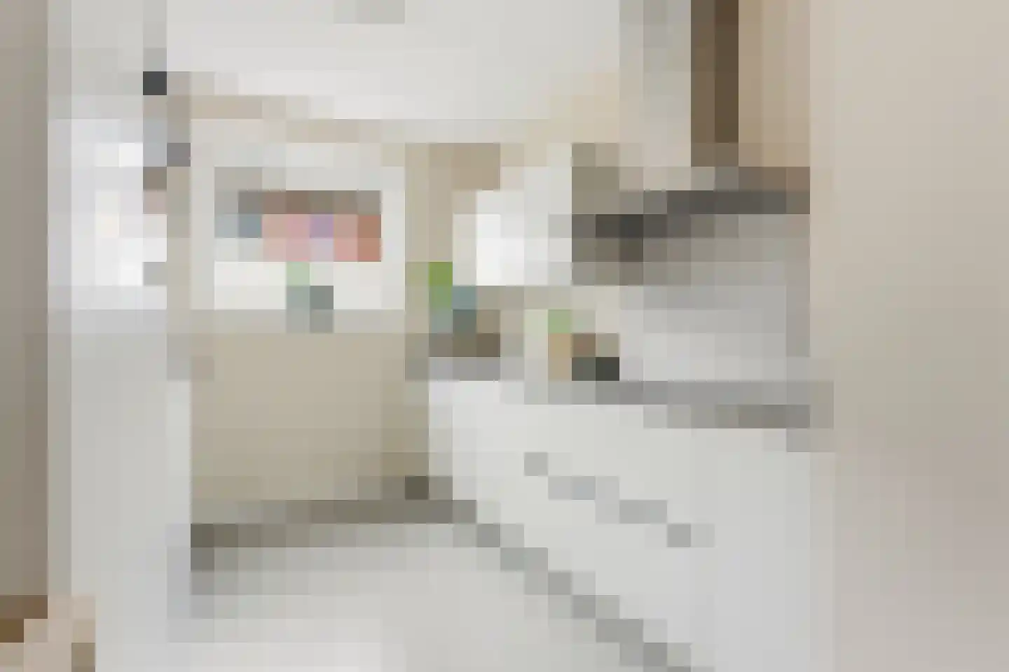 Anky van Grunsvenpad 3 Schiedam thumbnail 4