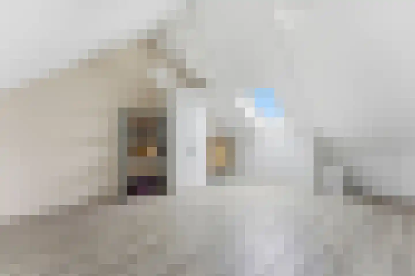 Anky van Grunsvenpad 3 Schiedam thumbnail 42