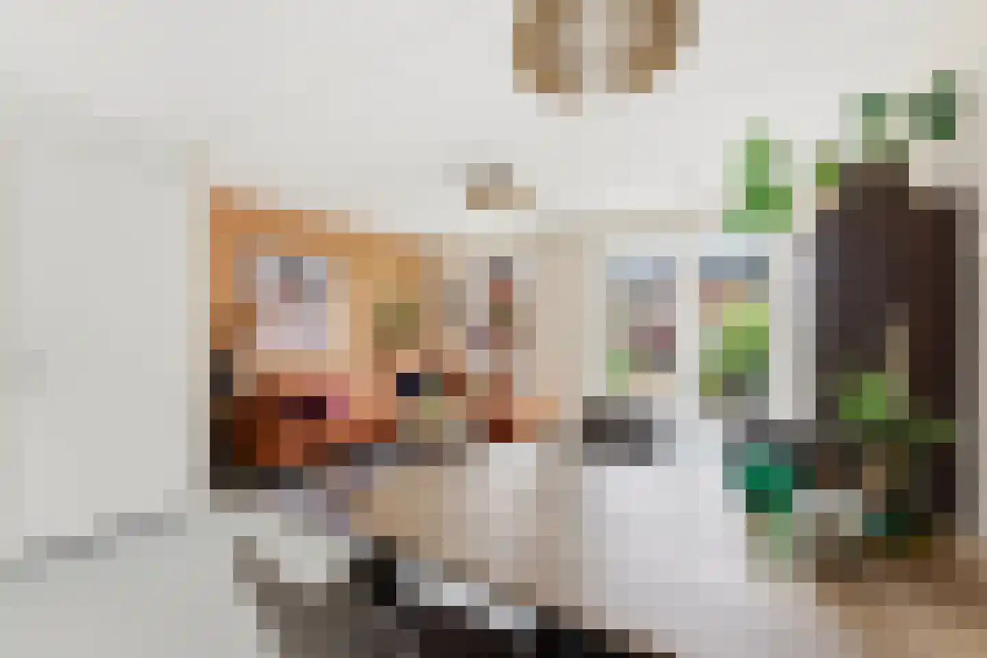 Anky van Grunsvenpad 3 Schiedam thumbnail 5