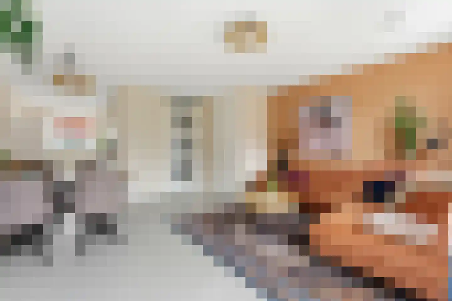 Anky van Grunsvenpad 3 Schiedam thumbnail 9