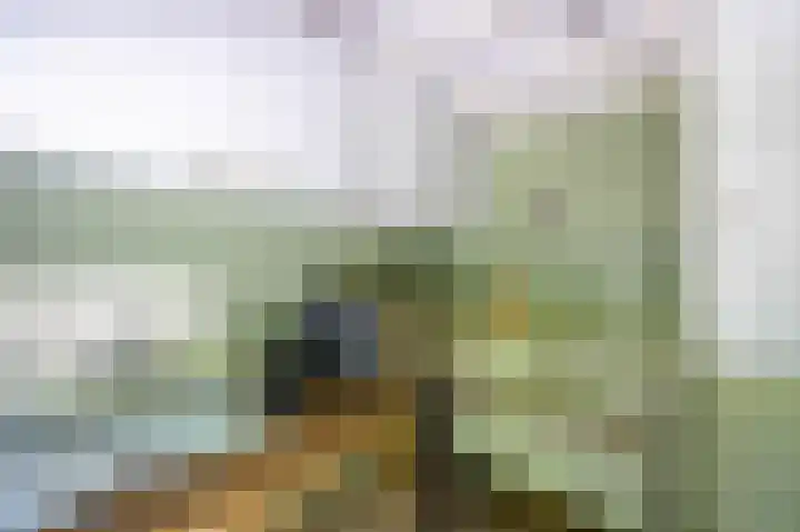 Anlooërweg 2 Annen thumbnail 12