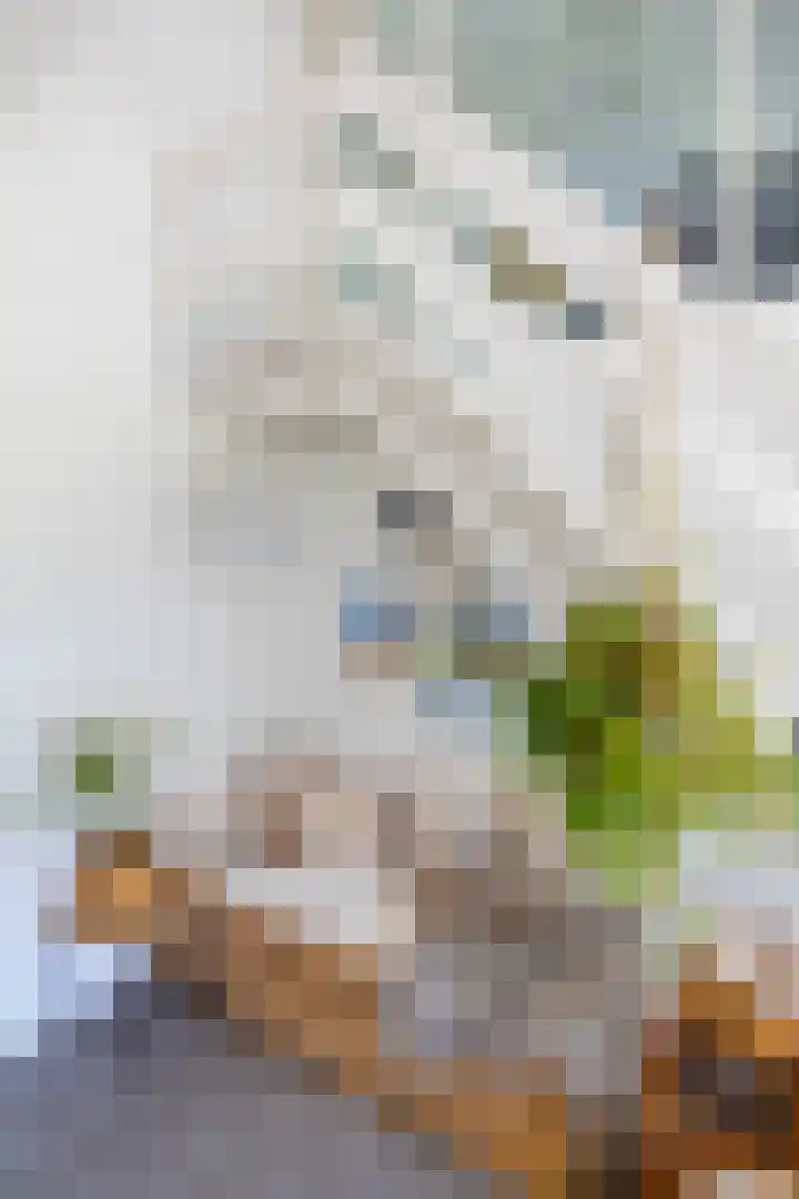 Anlooërweg 2 Annen thumbnail 19