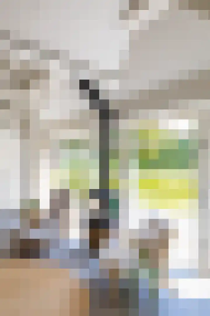 Anlooërweg 2 Annen thumbnail 21
