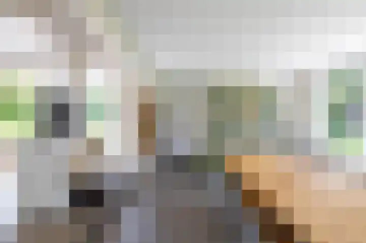 Anlooërweg 2 Annen thumbnail 28