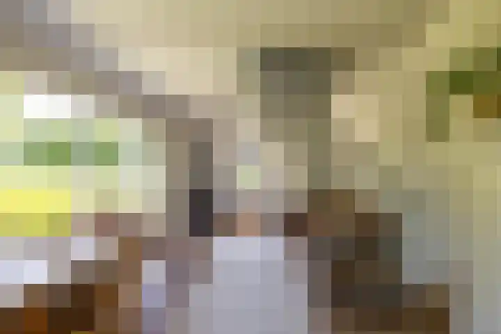 Anlooërweg 2 Annen thumbnail 29