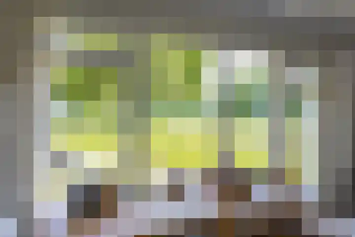 Anlooërweg 2 Annen thumbnail 30