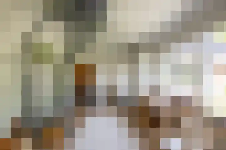 Anlooërweg 2 Annen thumbnail 31