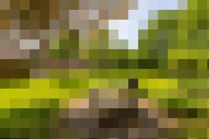 Anlooërweg 2 Annen thumbnail 4