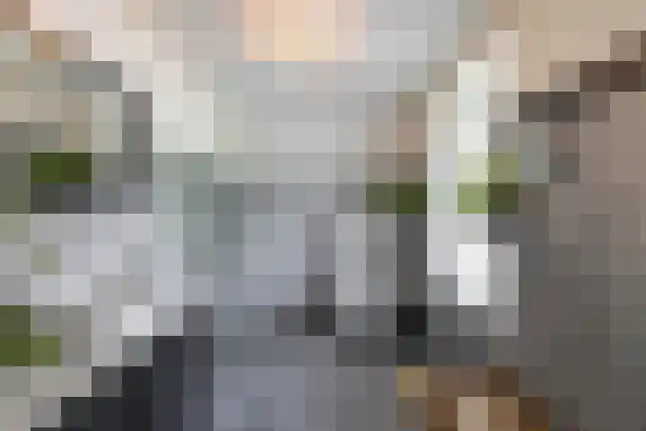 Anlooërweg 2 Annen thumbnail 41