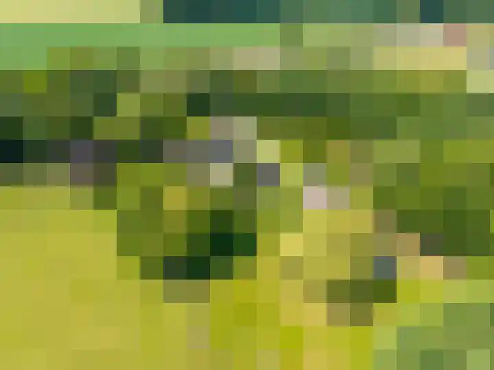 Anlooërweg 2 Annen thumbnail 5