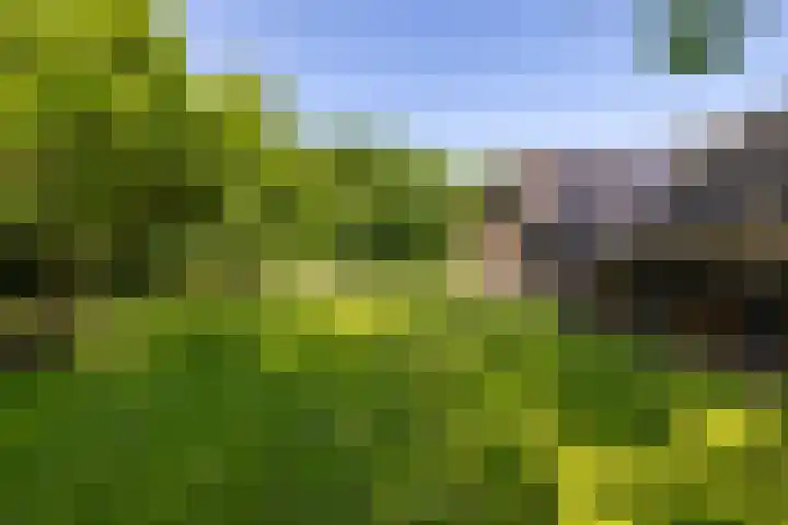 Anlooërweg 2 Annen thumbnail 50