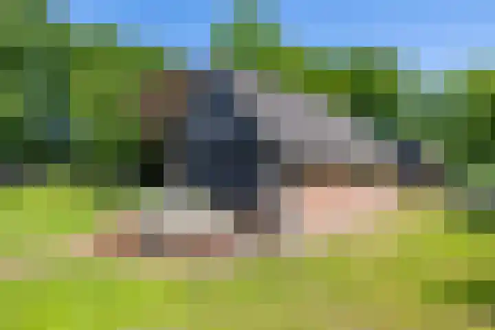 Anlooërweg 2 Annen thumbnail 52