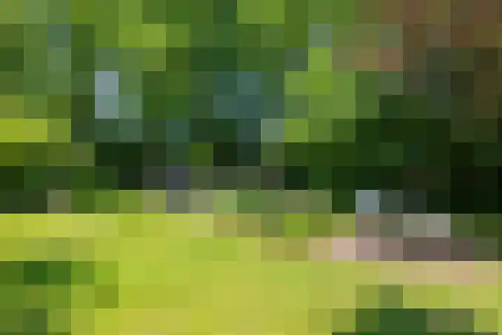 Anlooërweg 2 Annen thumbnail 55