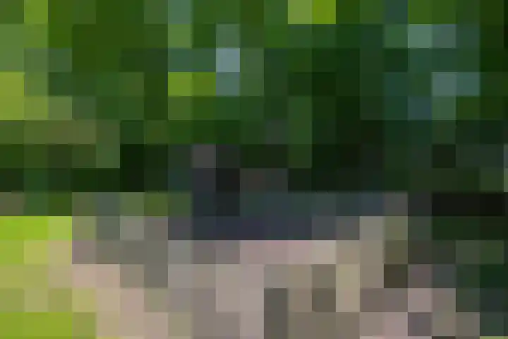Anlooërweg 2 Annen thumbnail 56