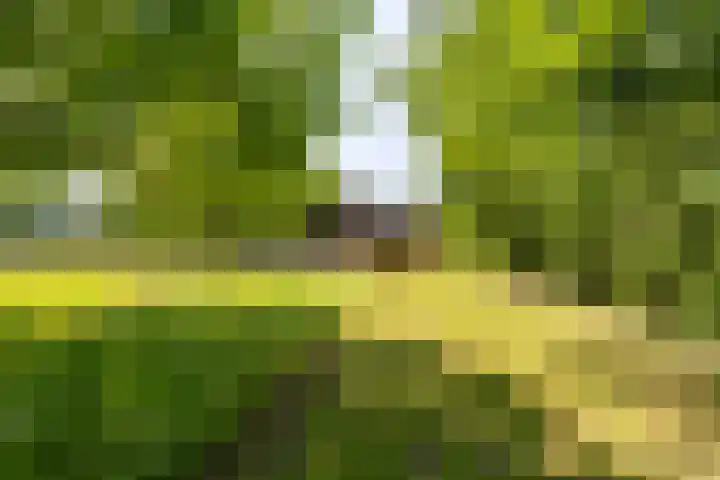 Anlooërweg 2 Annen thumbnail 57