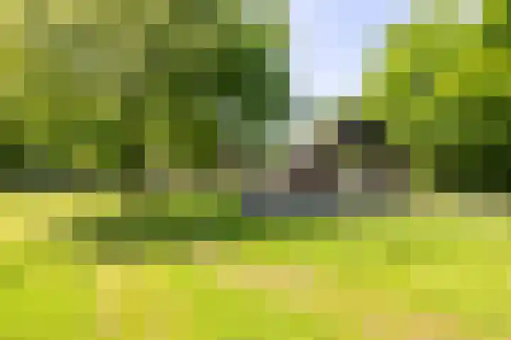 Anlooërweg 2 Annen thumbnail 58