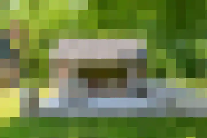 Anlooërweg 2 Annen thumbnail 59