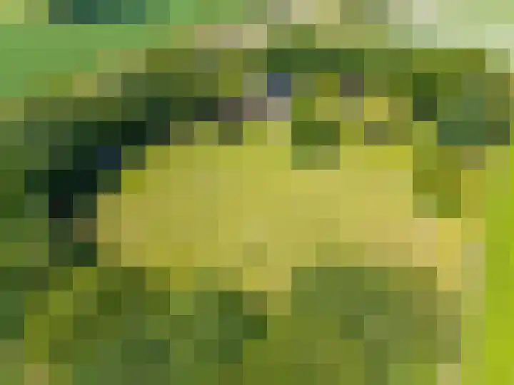 Anlooërweg 2 Annen thumbnail 6