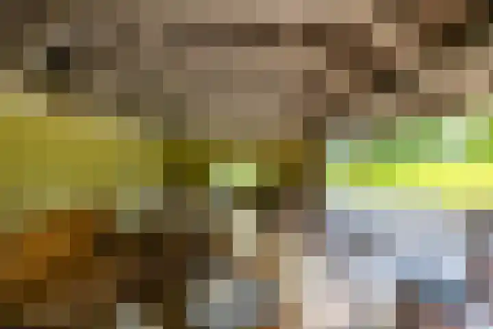 Anlooërweg 2 Annen thumbnail 61