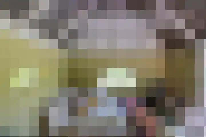 Anlooërweg 2 Annen thumbnail 62