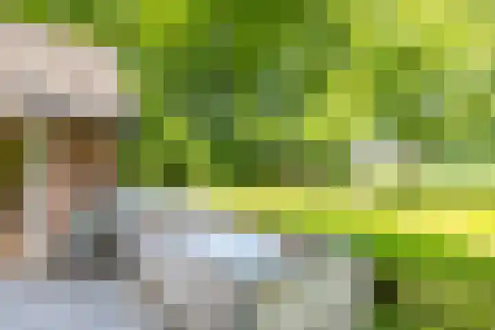 Anlooërweg 2 Annen thumbnail 65