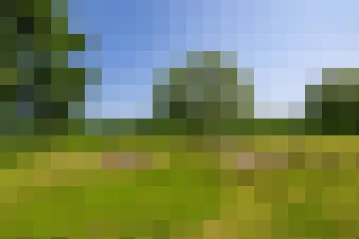 Anlooërweg 2 Annen thumbnail 66