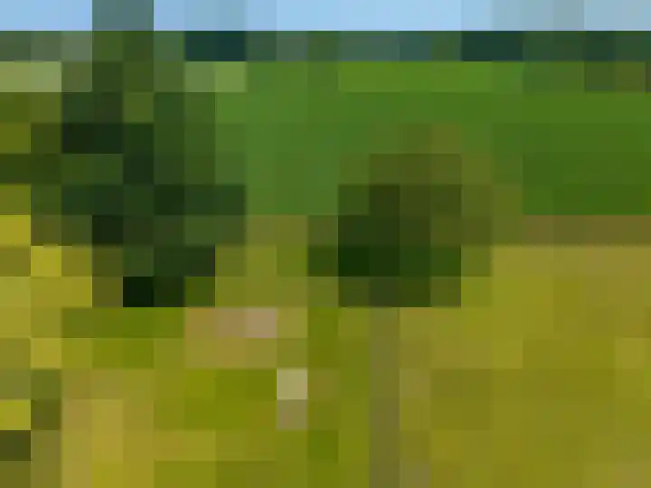 Anlooërweg 2 Annen thumbnail 67