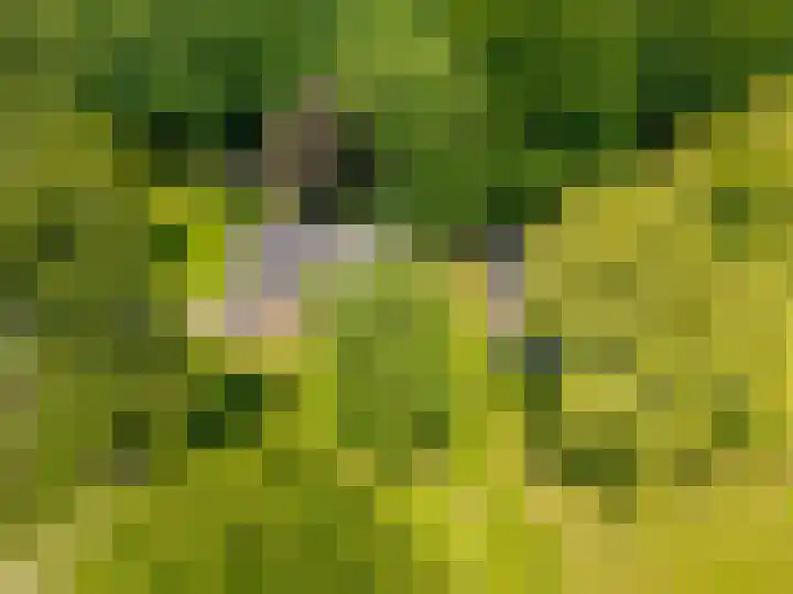 Anlooërweg 2 Annen thumbnail 68