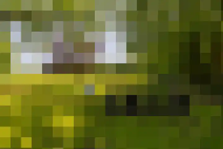 Anlooërweg 2 Annen thumbnail 69