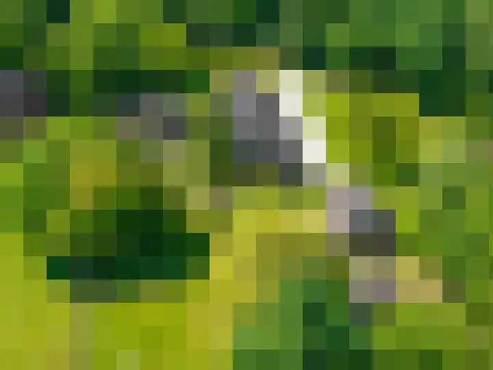 Anlooërweg 2 Annen thumbnail 7
